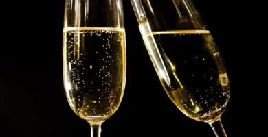 Top Wine Regions to Explore now a days