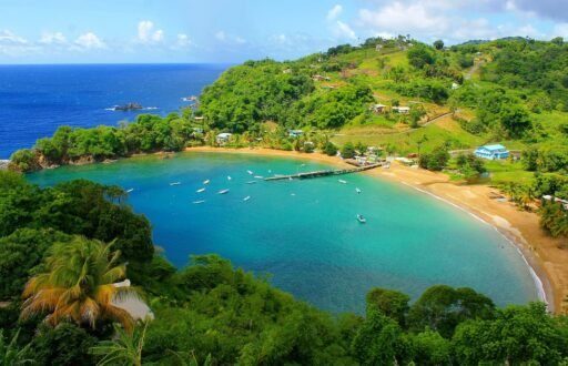 Exploring the Mystical Bioluminescent Bays of the Caribbean