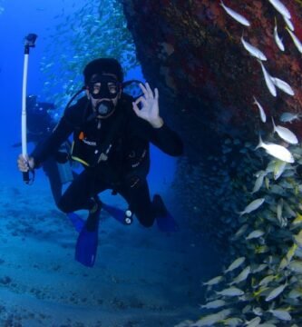 Top Scuba Diving Spots for Beginners in the Pacific
