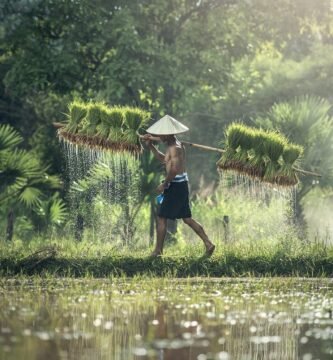 How to Build a DIY Rainwater Harvesting System