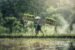 How to Build a DIY Rainwater Harvesting System