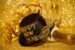 sylvester, sparkling wine, new year's eve
