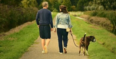 The Benefits of Daily Walking: How to Get Started