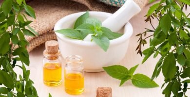 Top 5 Essential Oils for Anxiety and How to Use Them