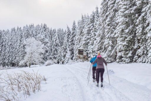 Top Ski Destinations for Beginners now a days