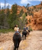 The Ultimate Guide to the Best Hiking Trails for Beginners in the USA