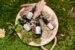 The Ultimate Guide to DIY Natural Cleaning Products